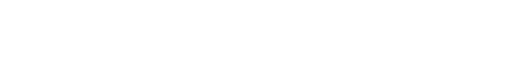vDisain logo